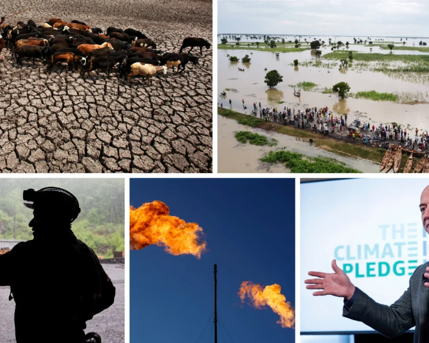 Collage of images representing climate action.