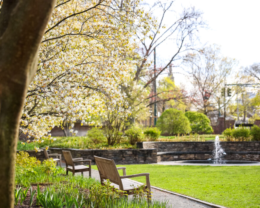 Greenery, benches and fountain in Radcliffe Sunken Garden.