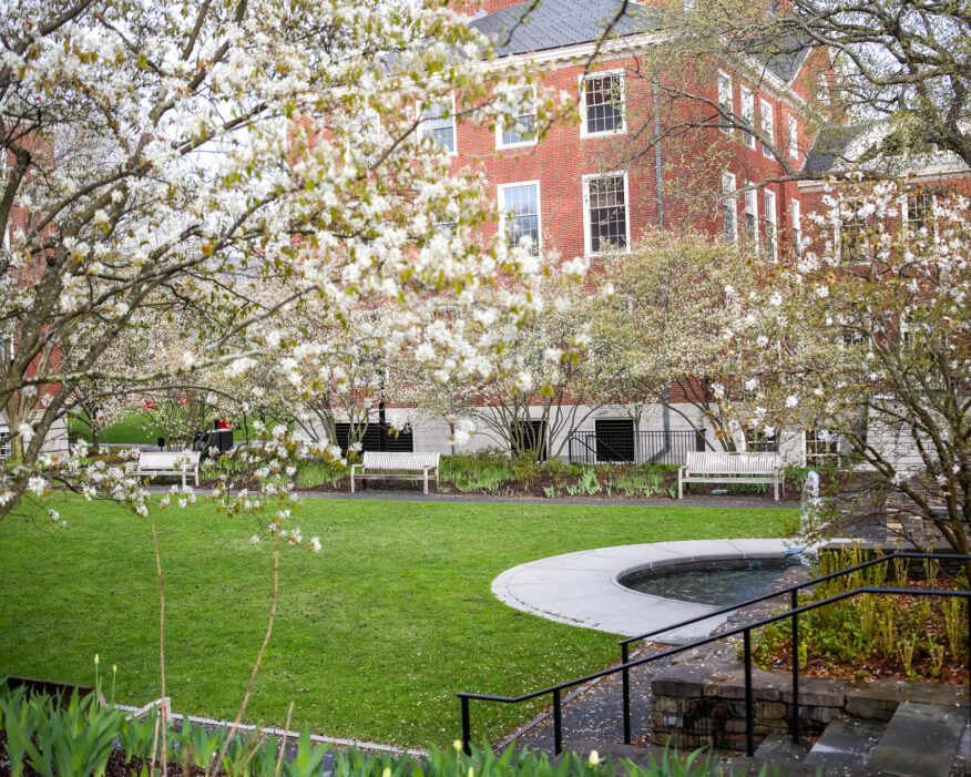 2023_Harvard Spring Campus Beauty-11