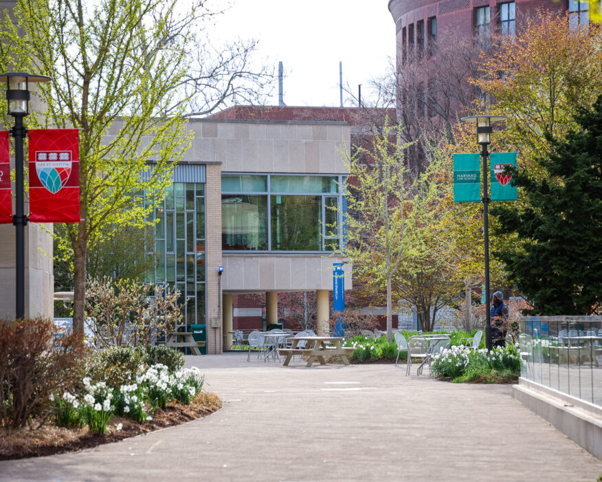 Harvard Law School campus on a spring day.