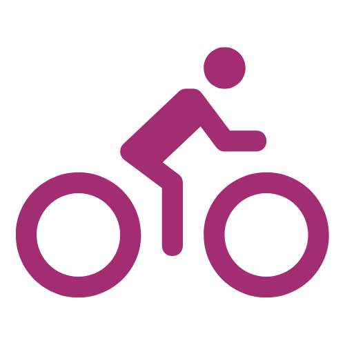 Icon of a person on a bike