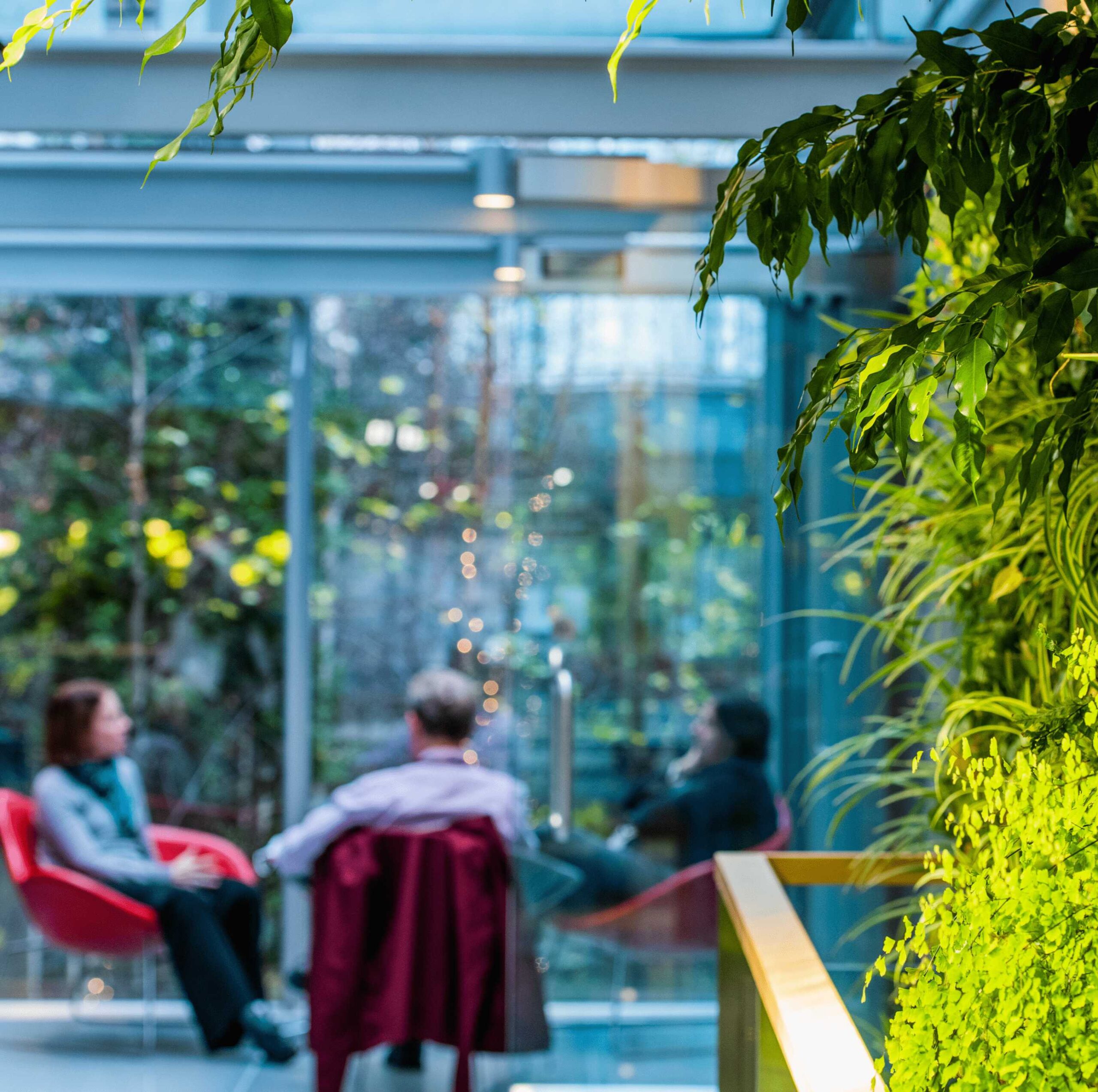 Image of people sitting in chairs near a green plant wall in Harvard's Smith Campus Center.