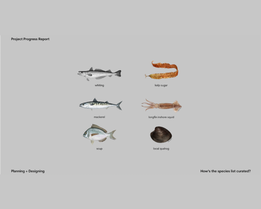 PowerPoint slide of photos of various fish with text identifying them.