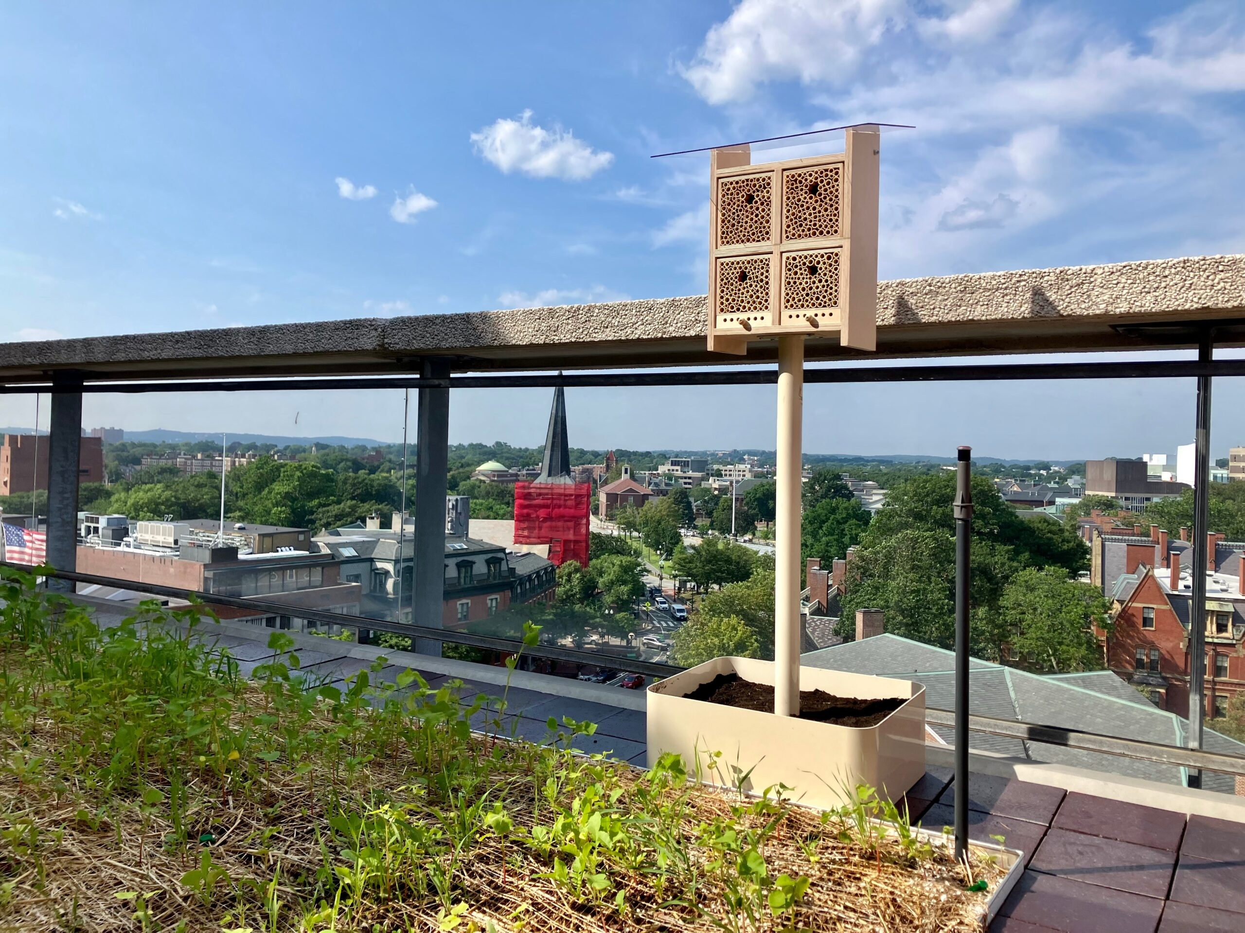 Honeybee hives on top of Smith Campus Center on a clear blue-sky day.