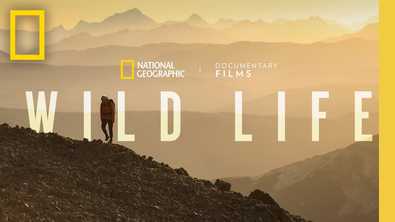 Wild Life Trailer Thumbnail, National Geographic