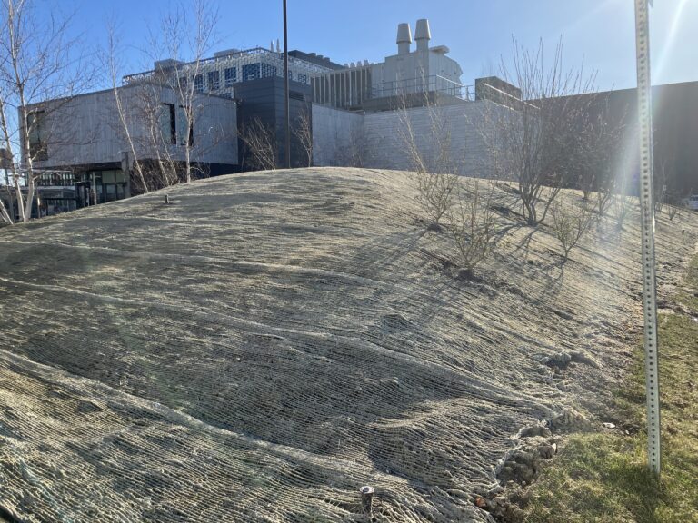 The newly rewilded space after planting, taken April 10, 2023.