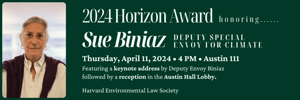 Graphic for 2024 Horizon Award Honoring Deputy Special Envoy for Climate Sue Biniaz.