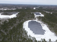Forest with batches of solar panels