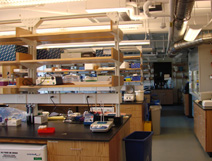 KRAMER LABORATORY BIOLOGICAL LAB BUILDING - FAS