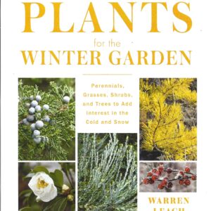 Plants for the Winter Garden