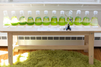 AlgaMatrix: The Future of Homes: AlgaMatrix is an interdisciplinary research project focused on integrating living microalgae into an inflated modular system to create an accessible, low-cost indoor bioreactor and air purifier system.