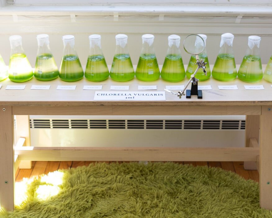 AlgaMatrix: The Future of Homes: AlgaMatrix is an interdisciplinary research project focused on integrating living microalgae into an inflated modular system to create an accessible, low-cost indoor bioreactor and air purifier system.