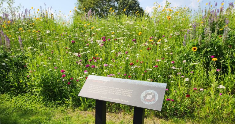 Sign View Left Closer Batten Rewilded Flowers