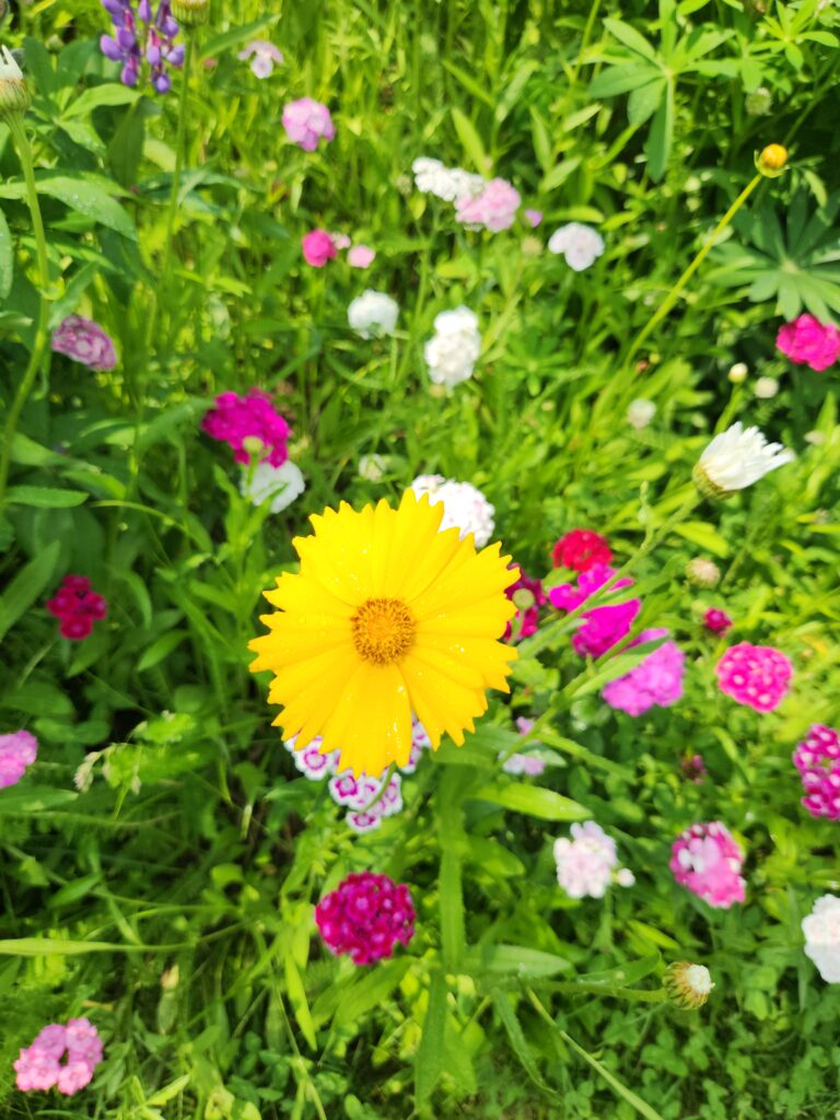 Yellow Flower Batten