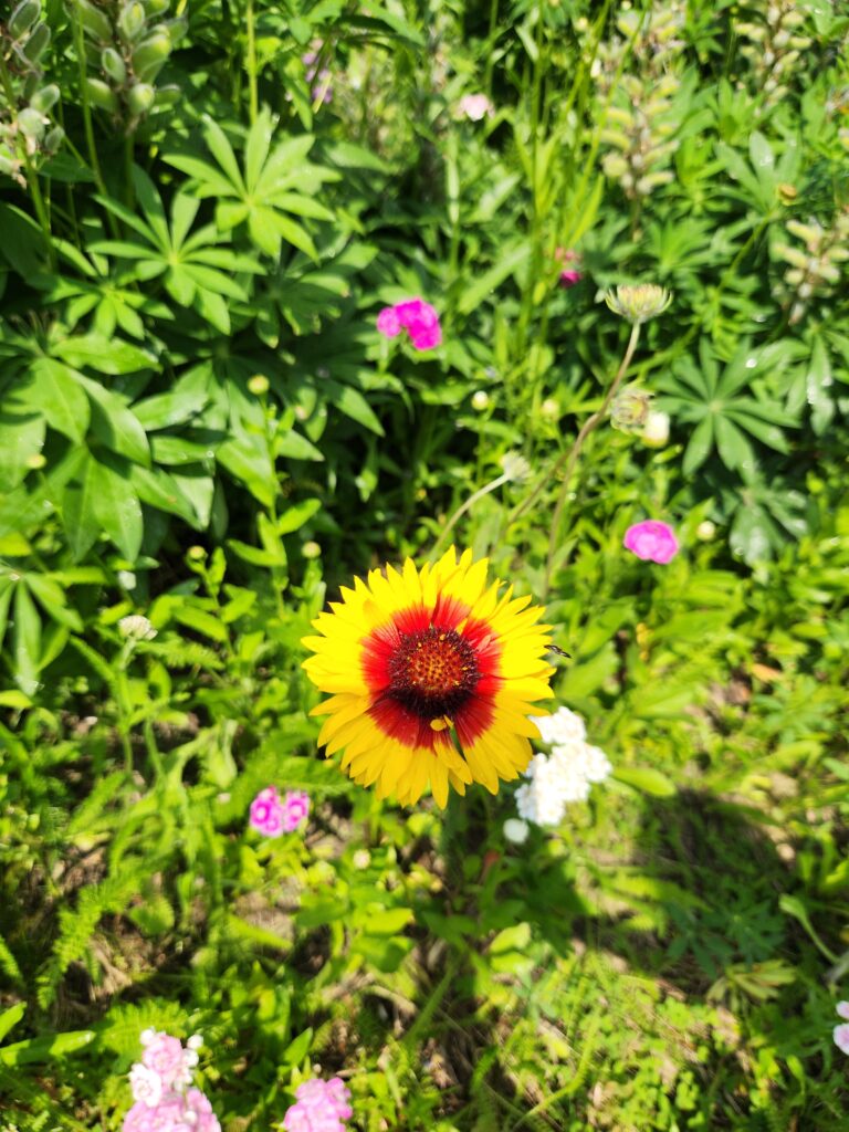 Yellow-Orange Flower Batten
