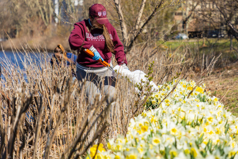 2025.04.17_Harvard Charles River Clean-Up-16
