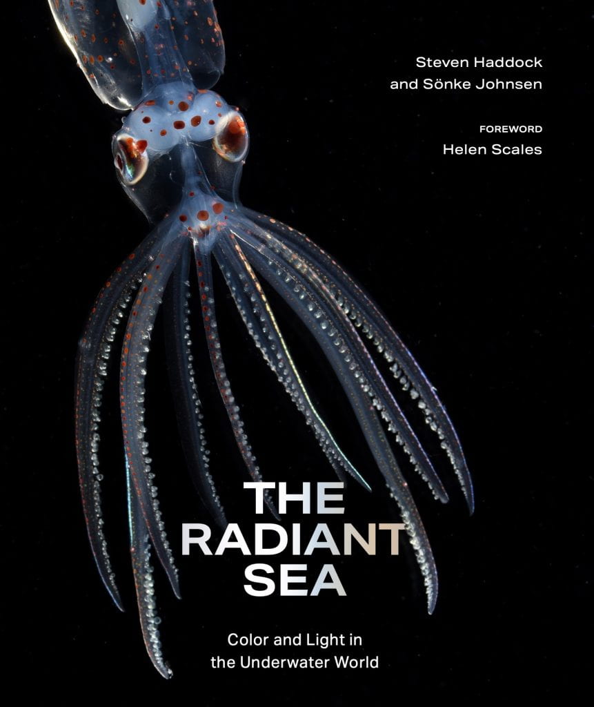The Radiant Sea cover
