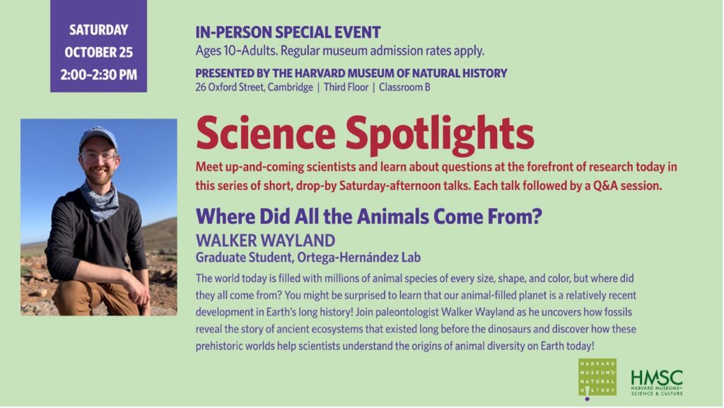 In-Person Presentation Science Spotlights: Where Did All the Animals Come From? Saturday, October 25, 2:00–2:30 pm ET Harvard Museum of Natural History, 26 Oxford Street, Classroom B, 3rd FL, Cambridge, MA 02138 Regular museum admission rates apply; recommended for ages 10 and up. Meet up-and-coming scientists and learn about questions at the forefront of research today! 2:00–2:30 pm Where Did All the Animals Come From? Speaker: Walker Wayland, Graduate Student, Ortega-Hernández Lab, The Department of Organismic and Evolutionary Biology at Harvard The world today is filled with millions of animal species of every size, shape, and color, but where did they all come from? You might be surprised to learn that our animal-filled planet is a relatively recent development in Earth’s long history! Join paleontologist Walker Wayland as he uncovers how fossils reveal the story of ancient ecosystems that existed long before the dinosaurs and discover how these prehistoric worlds help scientists understand the origins of animal diversity on Earth today!