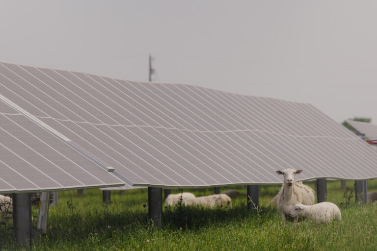 052025_Big Elm Solar_158