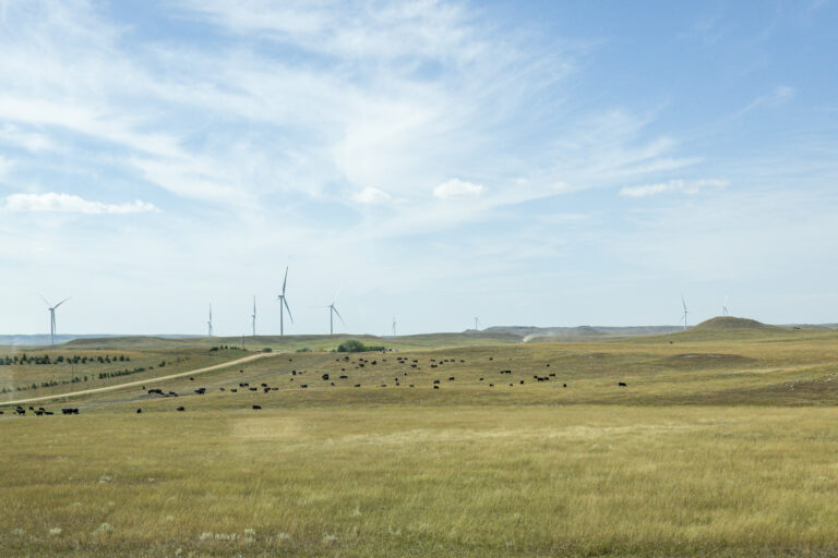 Wind turbines at Bowman Wind on a clear blue day.